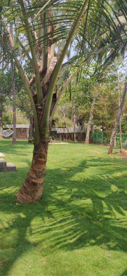 Perch By The Sea Bed and Breakfast Kannur Buitenkant foto