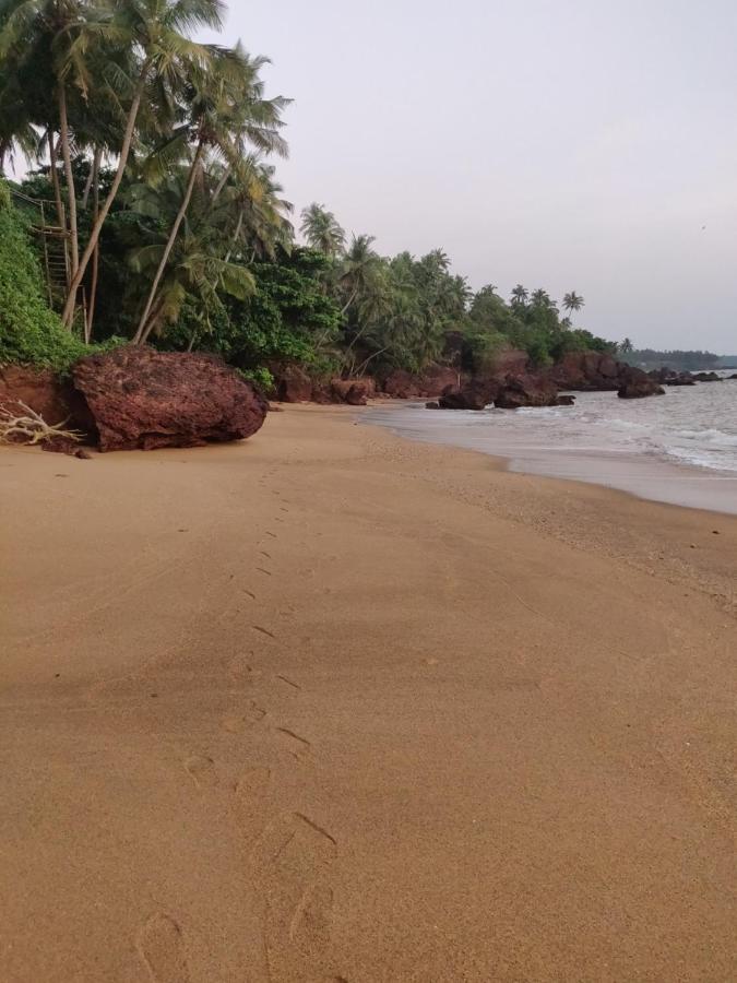 Perch By The Sea Bed and Breakfast Kannur Buitenkant foto
